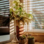 Tips for Creating a Relaxing Home Workspace to Boost Productivity