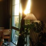 Simple Ways to Create a Cozy and Inviting Home Environment